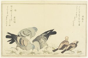 Passero arboricolo e colombo selvatico, c. 1790 da Kitagawa Utamaro